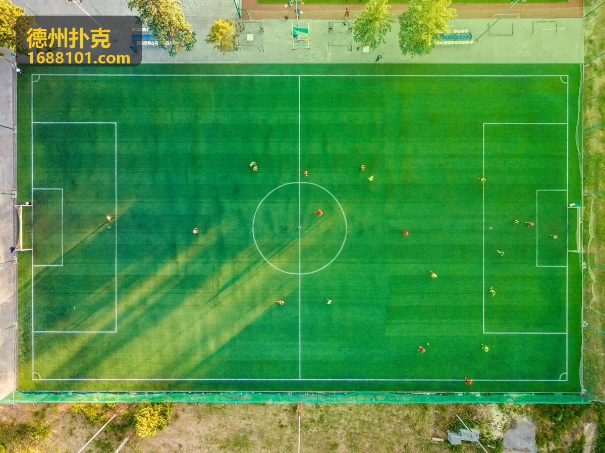 德州扑克策略复盘与学习桌面
